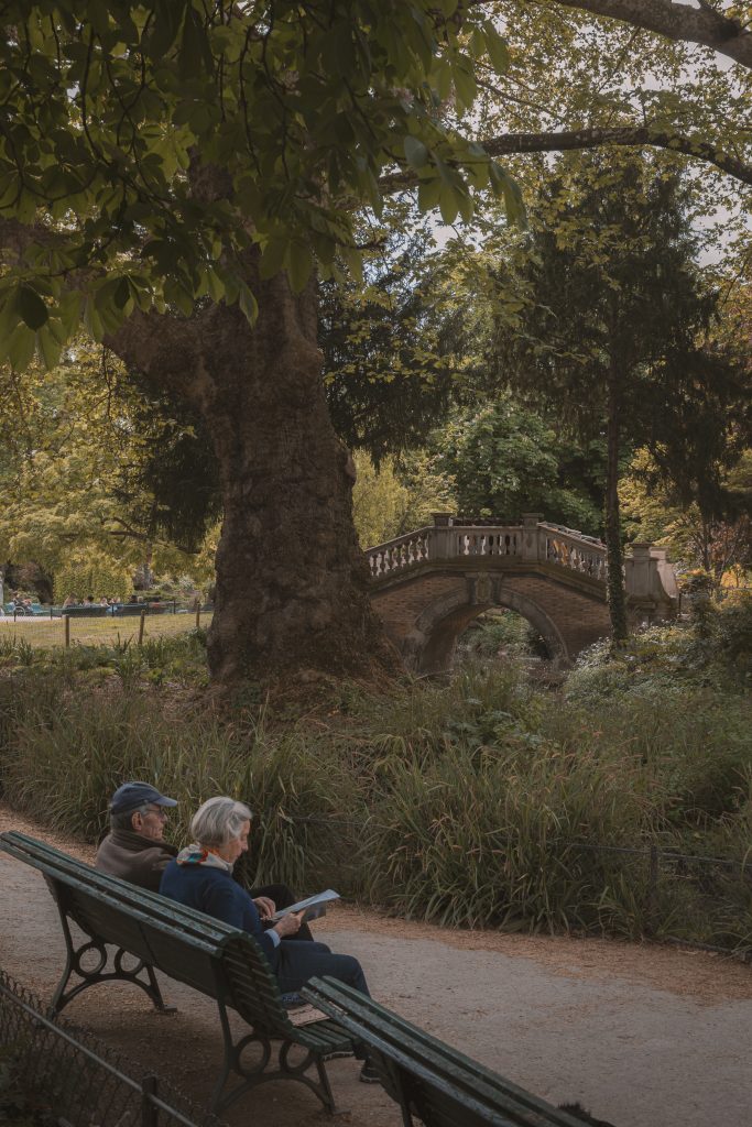 leggere un libro all'aria aperta