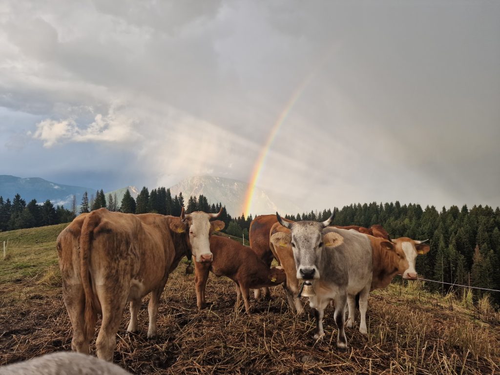 Vivere sempre con loro ❤️