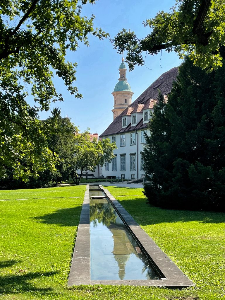 La natura sorprende sempre: anche coi suoi riflessi