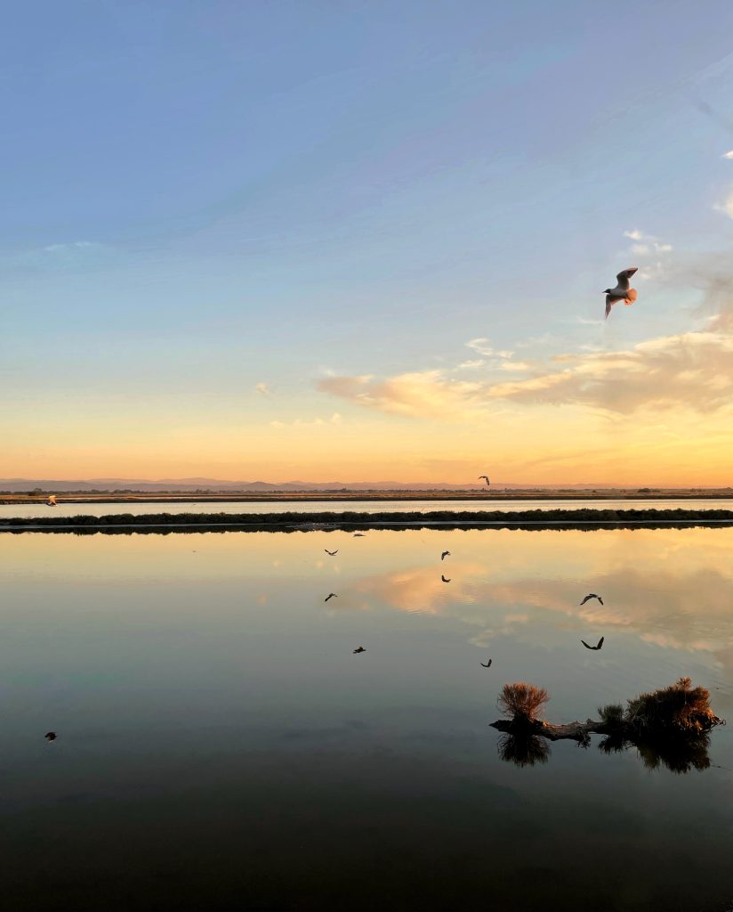godere della bellezza e della natura al tramonto