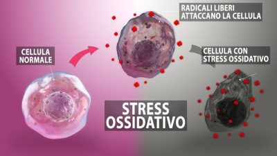 Stress ossidativo? - Foto di Artemisia Lab