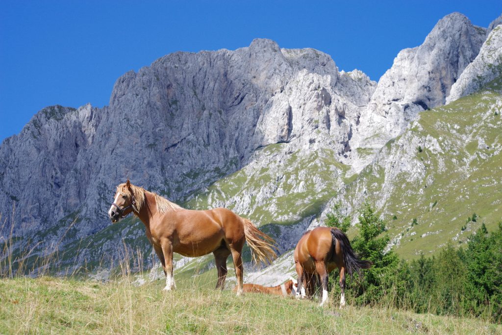 camminare per questi luoghi dove ritrovare la vera natura e me stesso