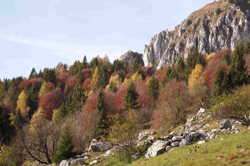 "il mio benessere è arrivare in una malga solitaria in autunno, fin sotto le rocce sommitali e godere dei colori delle foglie di faggi, betulle e altre meraviglie"