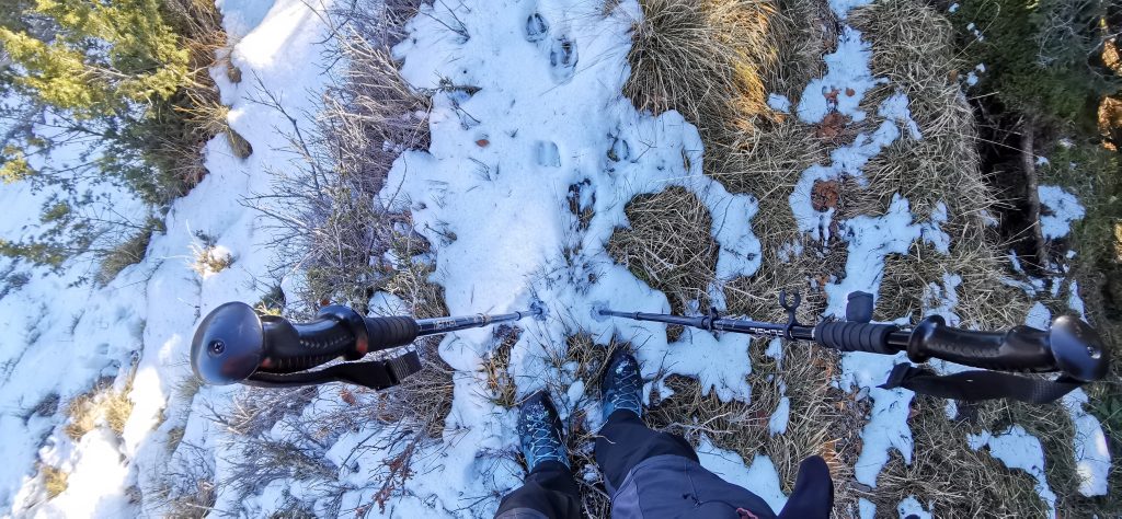 "Il mio benessere è camminare nella Natura, respirarne l'essenza ed entrare in simbiosi con l'ambiente naturale e le sue creature"