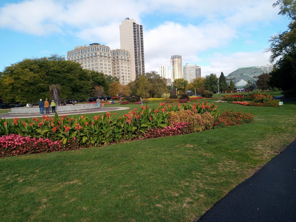 ... passeggiare per le strade di Chicago ammirando i prati fioriti
