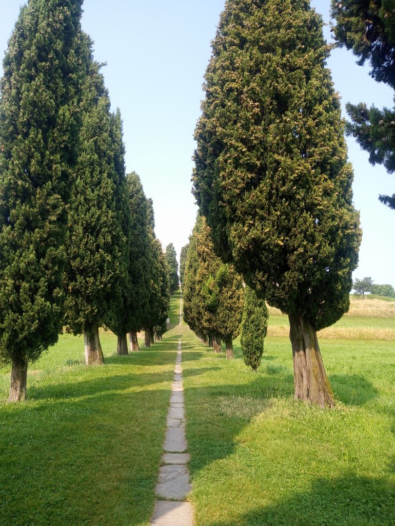 .. passeggiare nel verde ed immaginarsi una dama del 700 che si sta recando ad un ballo nel castello avito ..