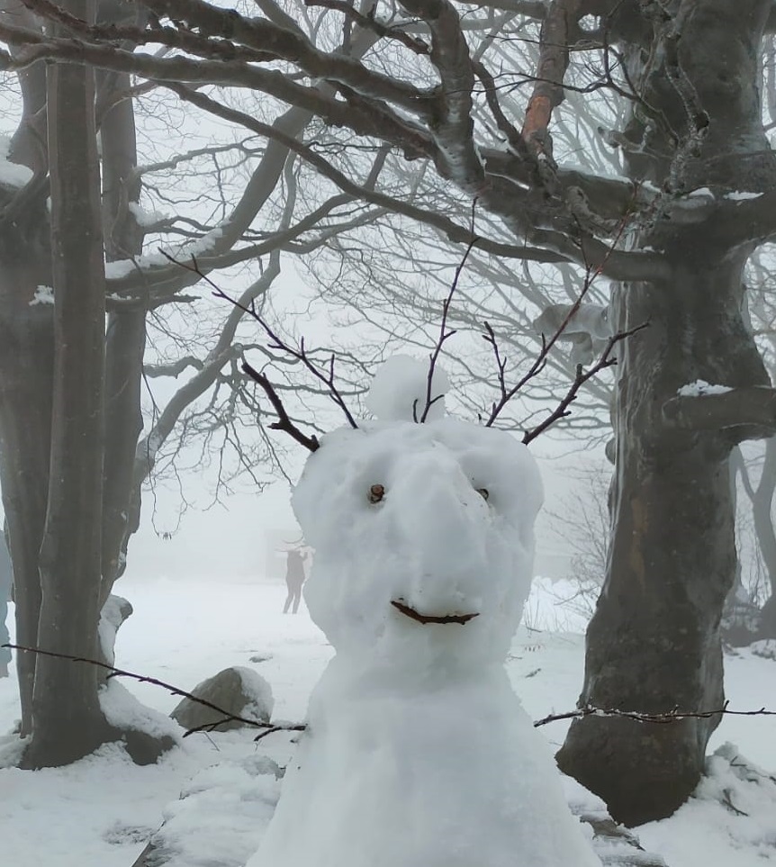 Cercare la neve tutto l'anno!