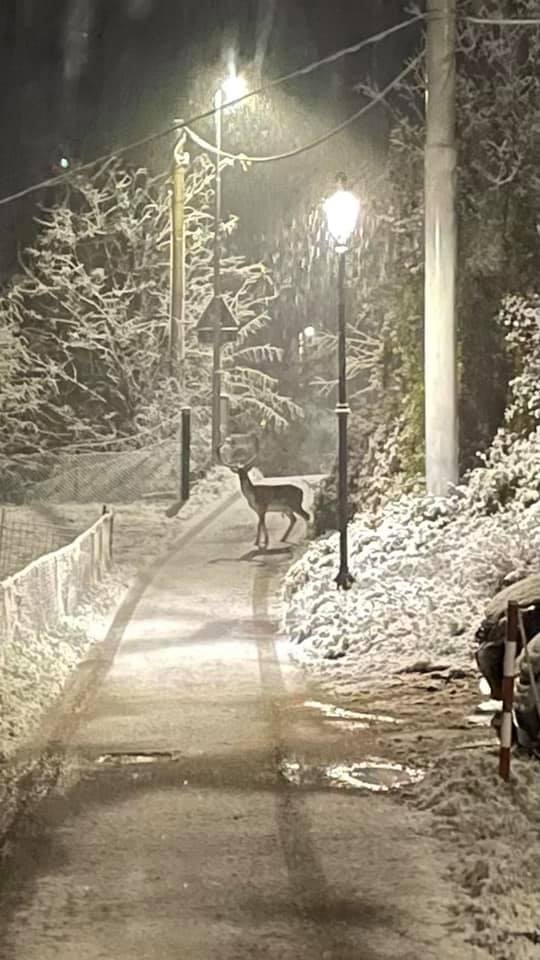 l'inverno e le sue meraviglie!