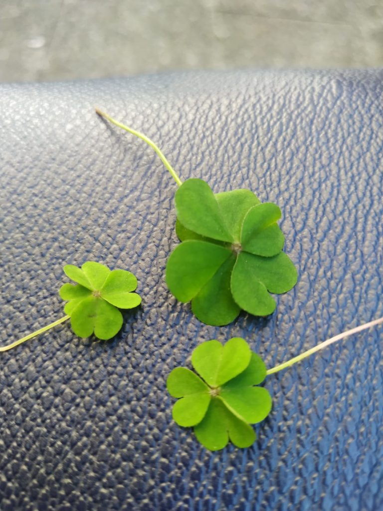 avere un po' di fortuna...