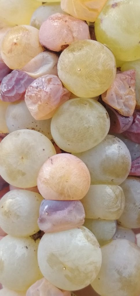 Gustare il frutto proibito in un calice di..vino