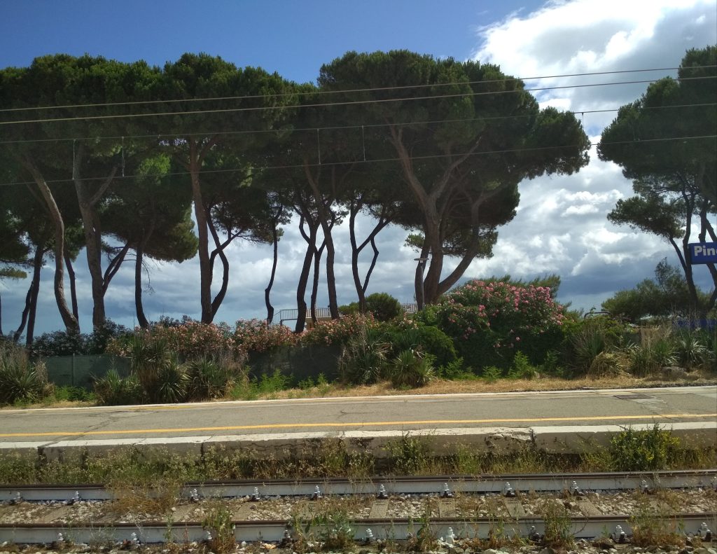 I passeggeri sono pregati di scendere ! Vietato attraversare i binari, siamo arrivati a Destinazione Benessere ;)