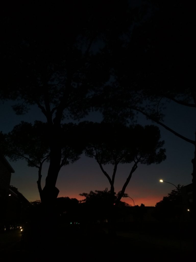Subire Il fascino del cielo infuocato sullo sfondo di un bosco verticale