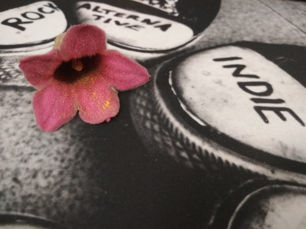 Fiori e Musica