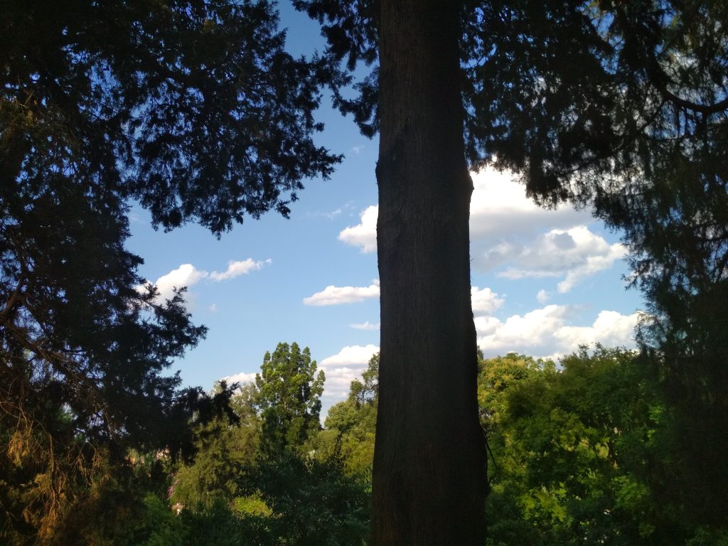 Una nuvola di nuvole