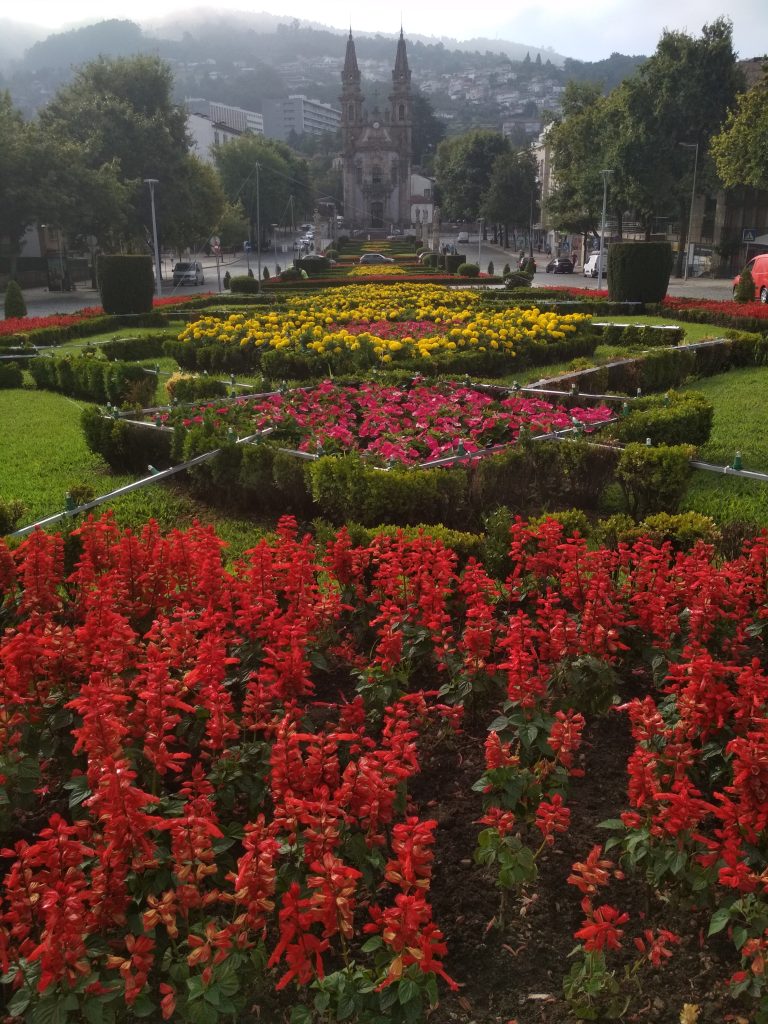 Un tappeto di colori