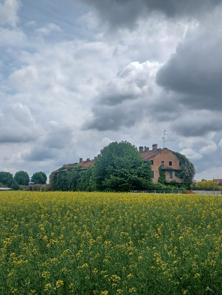 ammirare la natura che prende il sopravvento sulle costruzioni dell'uomo, invadendo ogni spazio di verde per dimostrare che il pianeta non è nostro. Un luogo incantato dove la storia ha lasciato posto a rami e foglie
